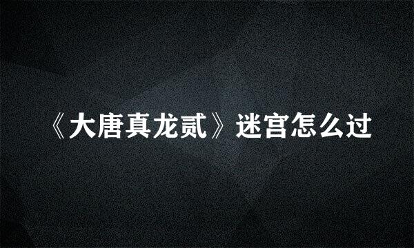 《大唐真龙贰》迷宫怎么过