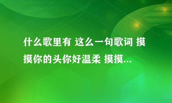 什么歌里有 这么一句歌词 摸摸你的头你好温柔 摸摸你的背你跟我睡 知道的告诉下 谢谢