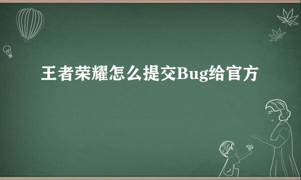 王者荣耀怎么提交Bug给官方