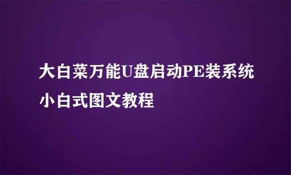 大白菜万能U盘启动PE装系统小白式图文教程