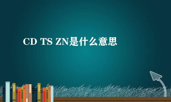 CD TS ZN是什么意思