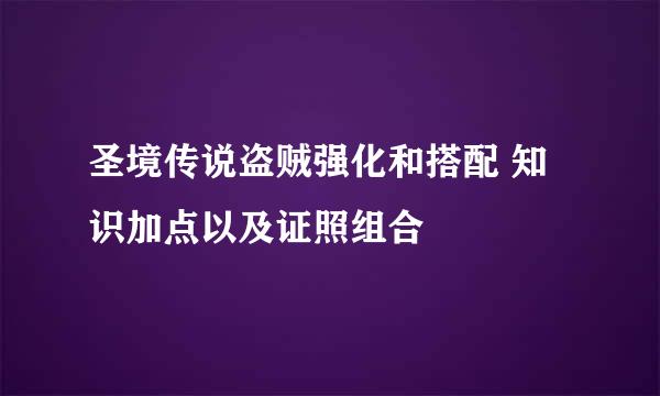 圣境传说盗贼强化和搭配 知识加点以及证照组合