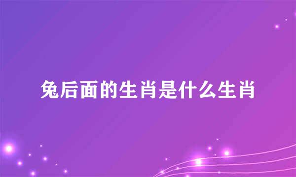 兔后面的生肖是什么生肖