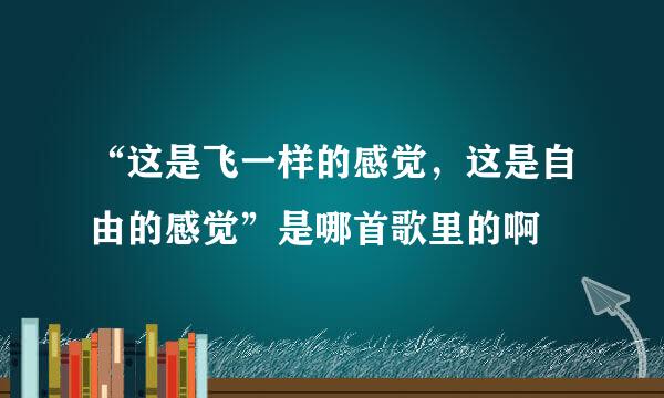 “这是飞一样的感觉，这是自由的感觉”是哪首歌里的啊
