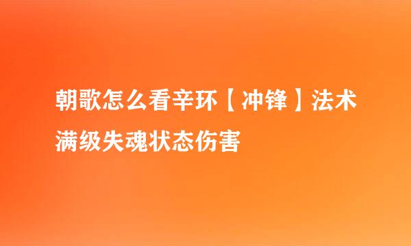 朝歌怎么看辛环【冲锋】法术满级失魂状态伤害