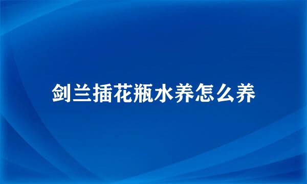剑兰插花瓶水养怎么养