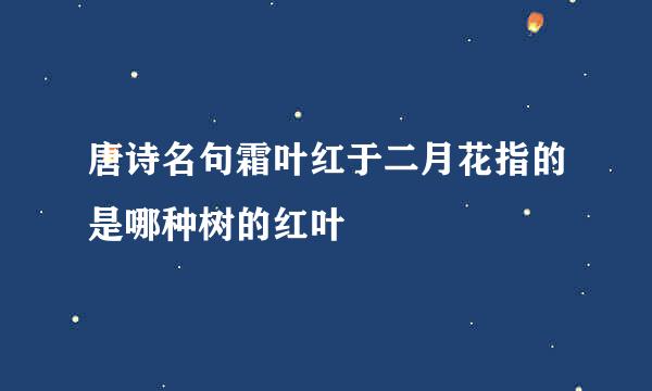 唐诗名句霜叶红于二月花指的是哪种树的红叶