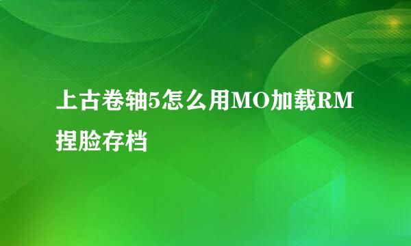 上古卷轴5怎么用MO加载RM捏脸存档