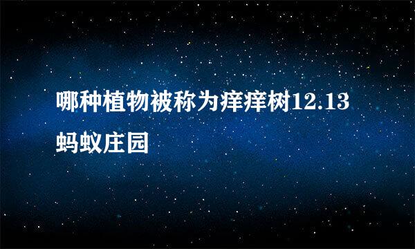 哪种植物被称为痒痒树12.13蚂蚁庄园