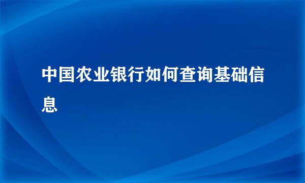 中国农业银行如何查询基础信息