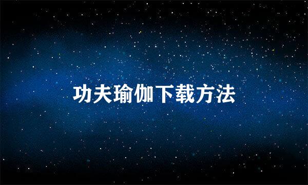 功夫瑜伽下载方法