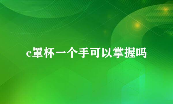 c罩杯一个手可以掌握吗