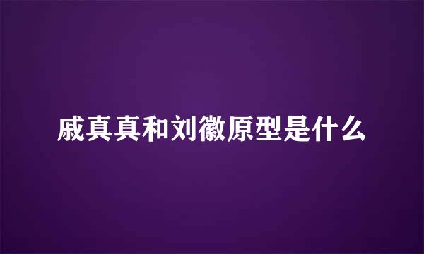 戚真真和刘徽原型是什么
