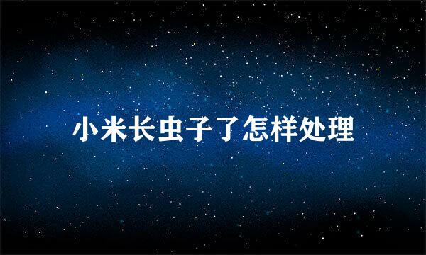 小米长虫子了怎样处理