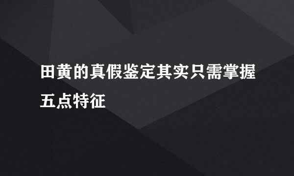 田黄的真假鉴定其实只需掌握五点特征