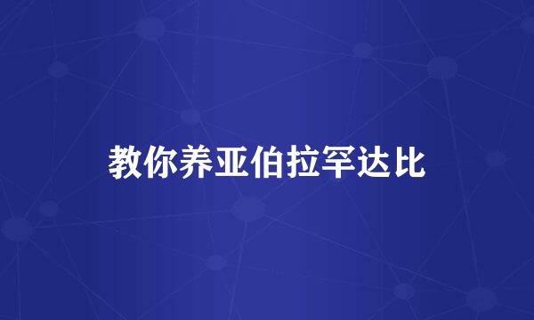 教你养亚伯拉罕达比
