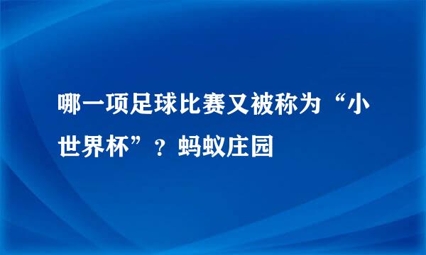 哪一项足球比赛又被称为“小世界杯”？蚂蚁庄园