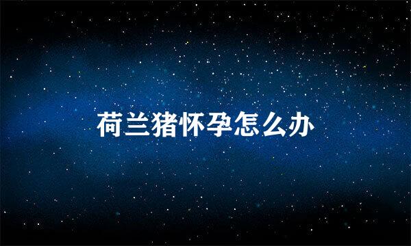 荷兰猪怀孕怎么办