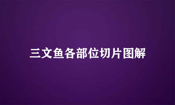 三文鱼各部位切片图解