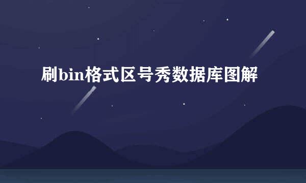 刷bin格式区号秀数据库图解