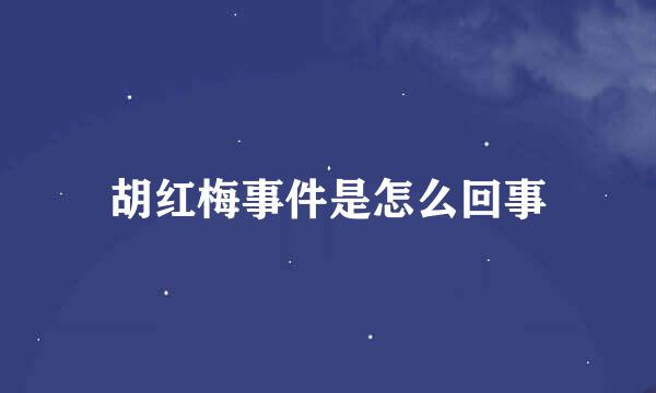 胡红梅事件是怎么回事
