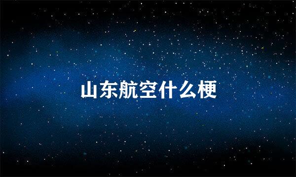 山东航空什么梗