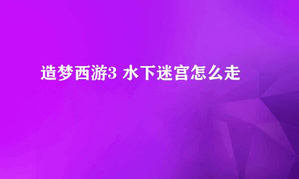 造梦西游3 水下迷宫怎么走