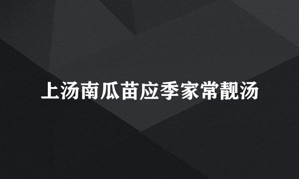 上汤南瓜苗应季家常靓汤