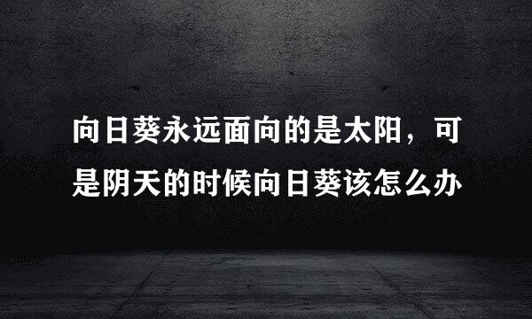 向日葵永远面向的是太阳，可是阴天的时候向日葵该怎么办
