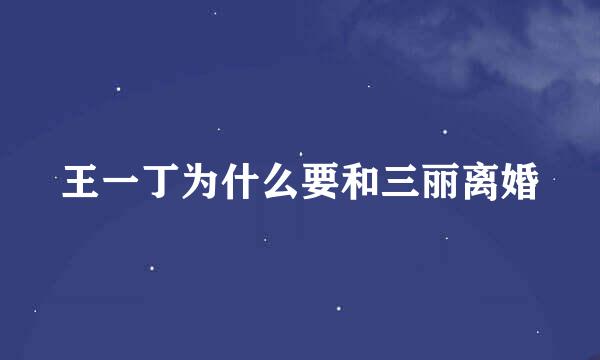王一丁为什么要和三丽离婚