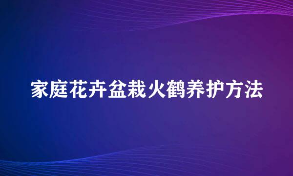 家庭花卉盆栽火鹤养护方法