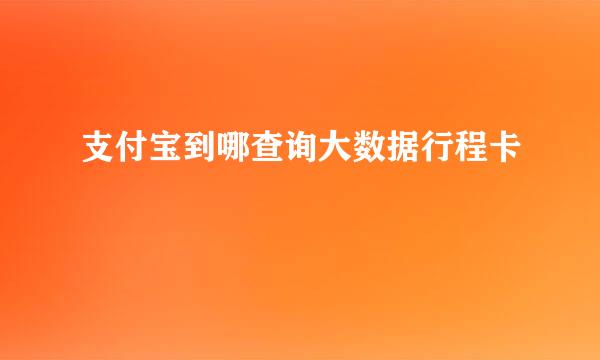 支付宝到哪查询大数据行程卡