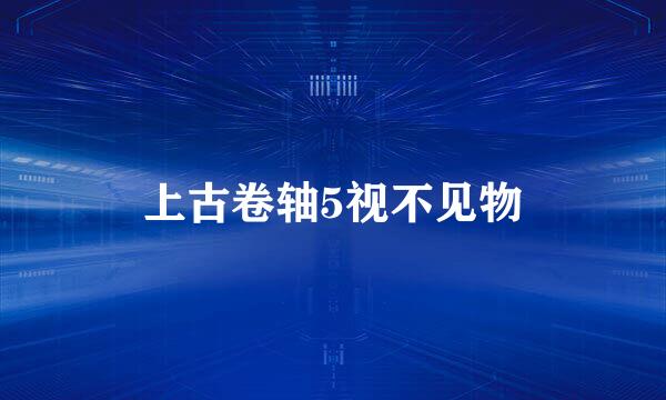上古卷轴5视不见物
