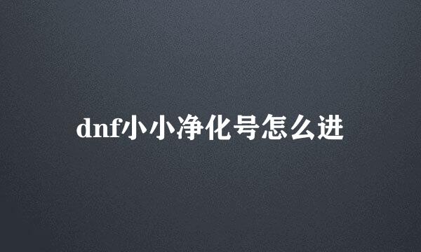 dnf小小净化号怎么进