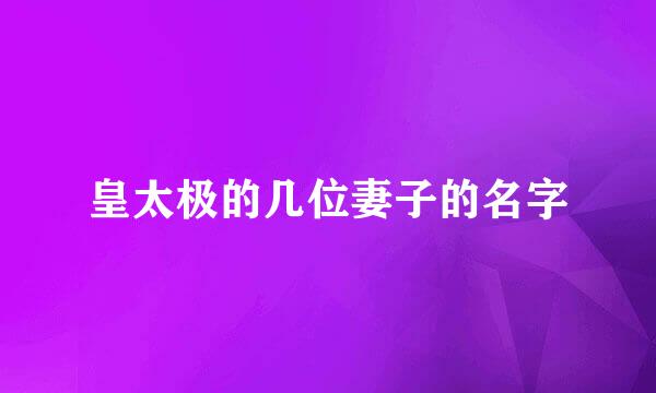 皇太极的几位妻子的名字