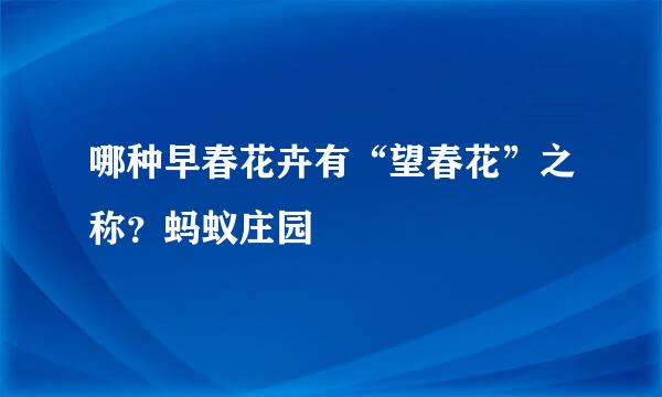 哪种早春花卉有“望春花”之称？蚂蚁庄园