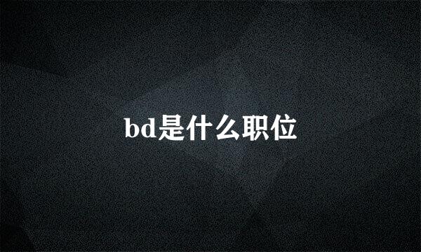 bd是什么职位