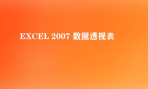EXCEL 2007 数据透视表