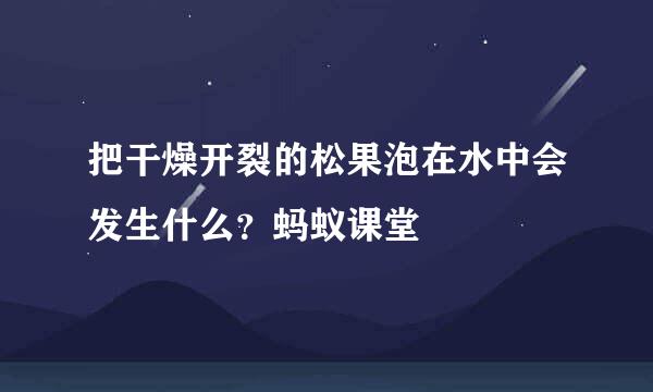 把干燥开裂的松果泡在水中会发生什么？蚂蚁课堂