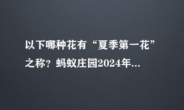 以下哪种花有“夏季第一花”之称？蚂蚁庄园2024年6月8日问题答案