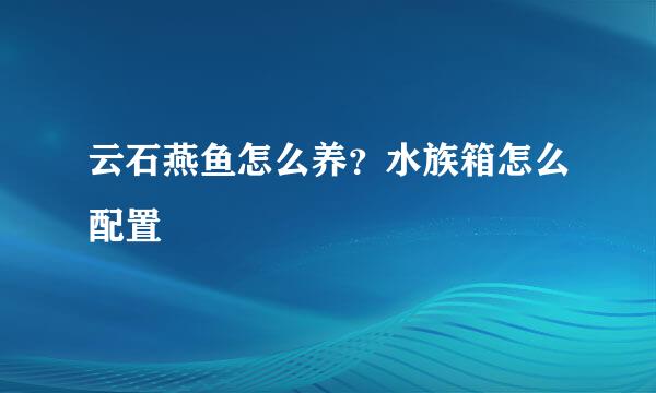 云石燕鱼怎么养？水族箱怎么配置