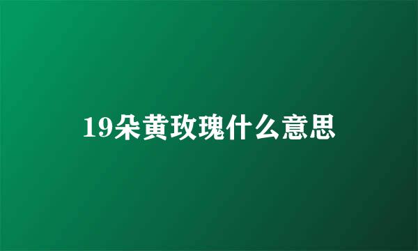 19朵黄玫瑰什么意思