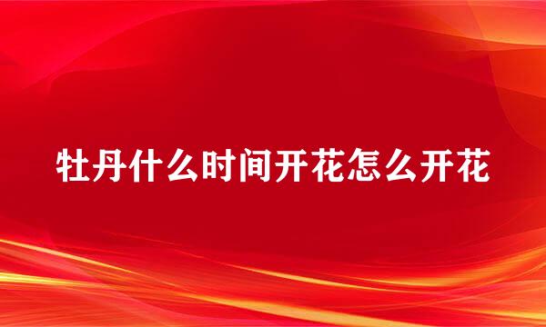 牡丹什么时间开花怎么开花