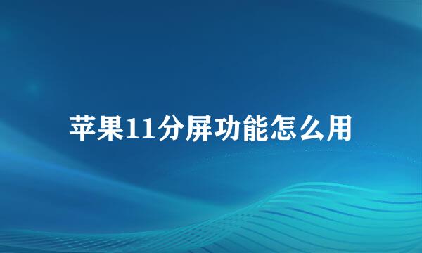 苹果11分屏功能怎么用
