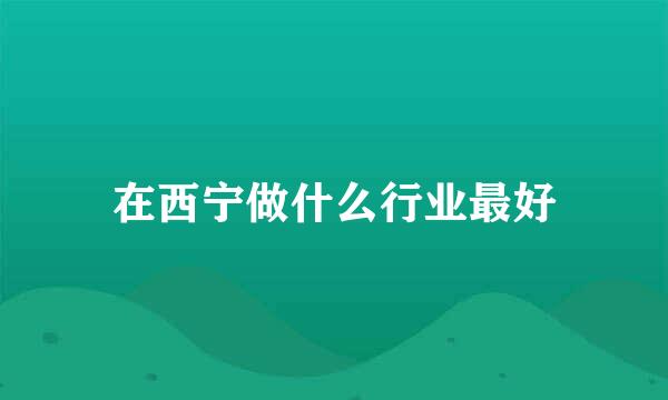 在西宁做什么行业最好