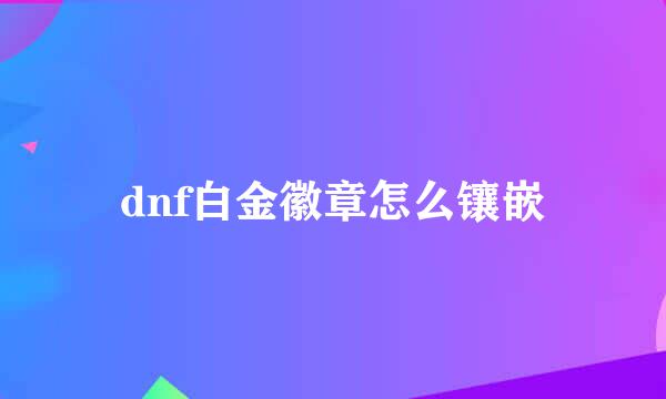 dnf白金徽章怎么镶嵌