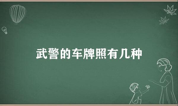 武警的车牌照有几种