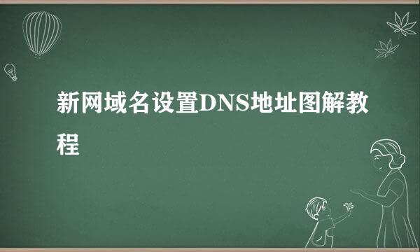 新网域名设置DNS地址图解教程