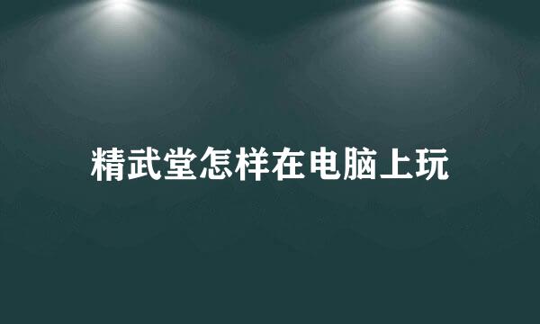 精武堂怎样在电脑上玩