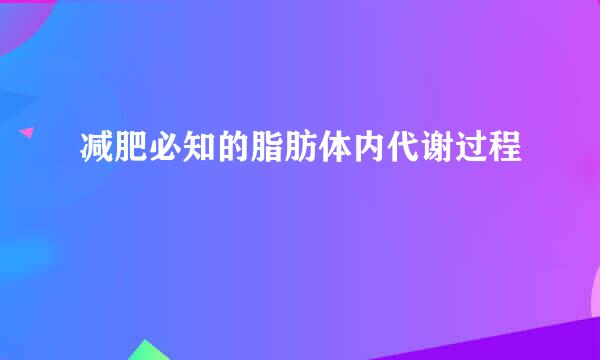 减肥必知的脂肪体内代谢过程